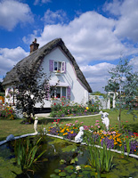 Cottage & Lily Pond, Essex, England.
