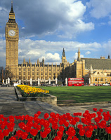 Big Ben & Houses of Parliament, London, England.