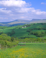 Near Llangadog, Brecon Beacons, Carmarthenshire, Wales.