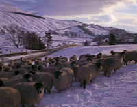 Troutbeck, Windermere, Cumbria, England.