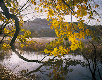 Rydal Water, Nr. Ambleside, Cumbria, England.