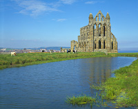 Whitby Abbey, Yorkshire, England.