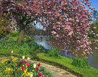 Bickleigh, Devon, England.