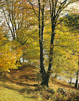 Ullswater, Cumbria, England.