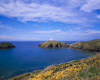 Strumble Head, Nr. Fishguard, Pembrokeshire, South Wales.