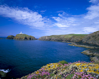 Strumble Head, Nr Fishguard, Pembrokeshire, South Wales.