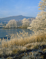 Rydal Water, Nr. Ambleside, Cumbria, England.