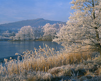 Rydal Water, Nr. Ambleside, Cumbria, England.