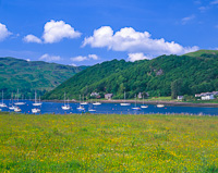 Loch Melford, Nr. Oban, Argyll & Bute, Scotland.