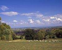 Chipping Campden, Cotswolds, Gloucestershire, England.
