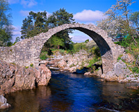 Carrbridge, Nr Grantown-on-Spey, Highland, Scotland.