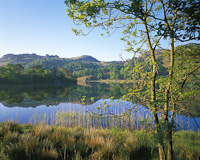 Rydal, Nr. Ambleside, Cumbria, England.