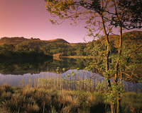 Rydal, Nr. Ambleside, Cumbria, England.