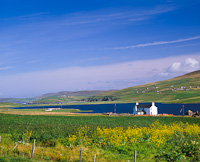 Loch of Spiggie, Shetland, Scotland.