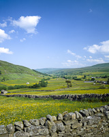 Swaledale, Nr Thwaite, Yorkshire Dales, England.