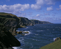 St. Abb's Head, Borders, Scotland.