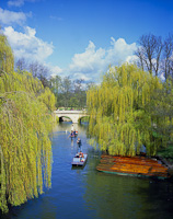Cambridge Backs, Cambridgeshire, England.