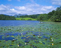 Loughrigg Tarn, Nr. Ambleside, Cumbria, England.