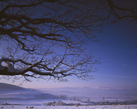 Wooler, Northumberland, England.