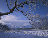 Derwent Water, Nr. Keswick,  Cumbria, England.
