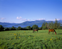 Killarney, Eire.