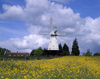 Woodchurch, Kent, England.