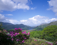The Ladies View, Ring of Kerry, Co. Kerry, Eire.