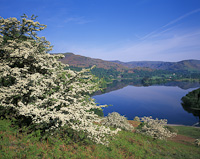 Grasmere, Cumbria, England.