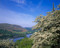 Rydal, Nr. Ambleside, Cumbria, England.