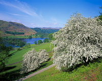 Rydal, Nr. Ambleside, Cumbria, England.