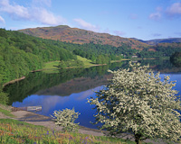 Grasmere, Cumbria, England.