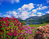 Grasmere, Cumbria, England.