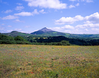 Wicklow Mountains, Eire.