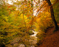 Aberfeldy, Perth & Kinross, Scotland.