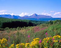 Goatfell, Isle of Arran, Scotland.