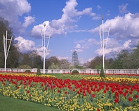 Buckingham Palace Gardens & St. James Park, London, England.