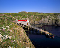 Porthstinian, St. David's, Pembrokeshire, South Wales.