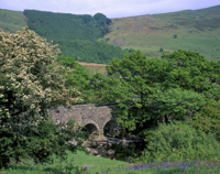 Nant Ffrancon, Afon Ogwen, Nr. Bethesda, Wales.