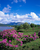 Loch Linnhe at Corran, Highland, Scotland.