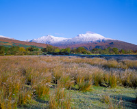 Strathcarron, Highland, Scotland.
