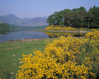 Derwent Water, Cumbria, England.