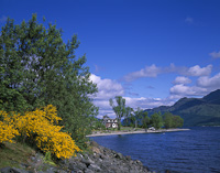 Culag farm, Nr. Luss, Loch Lomond, Argyll and Bute, Scotland.
