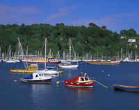 Dartmouth, Devon, England.