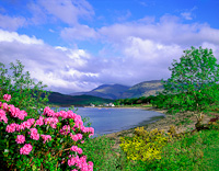 Corran, Nr. Fort William, Highland, Scotland.