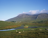 Ballynahinch, Nr Clifden, Connemara, Galway, Eire.