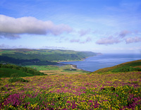 Exmoor, Somerset, England.