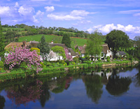 Bickleigh, Devon, England.