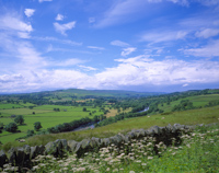 Teesdale, Pennine Way, Nr. Newbiggin, County Durham, England.
