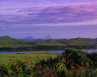 The Skelligs from Valencia Island, Co. Kerry, Eire.