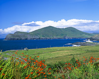 Fort Point, Valencia Island, Co. Kerry, Eire.